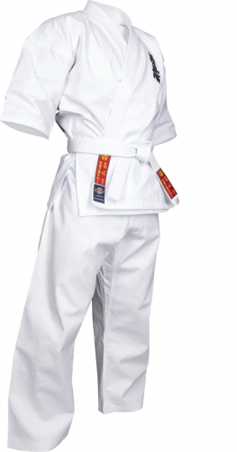 ������ Hayashi KYOKUSHINKAI (�����������) ���� 2