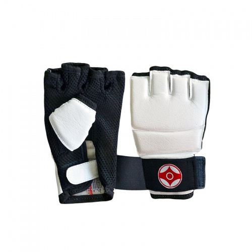 �������� ��� ������ KYOKUSHINKAI ���� 2