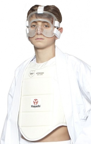 ����� Hayashi 356 ���� 2