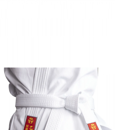 ������ Hayashi KYOKUSHINKAI (�����������) ���� 7