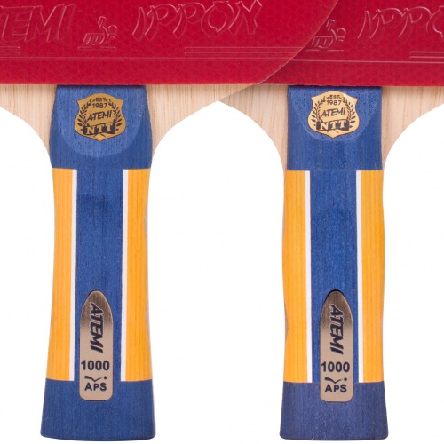 ������� Atemi 1000 ���� 3