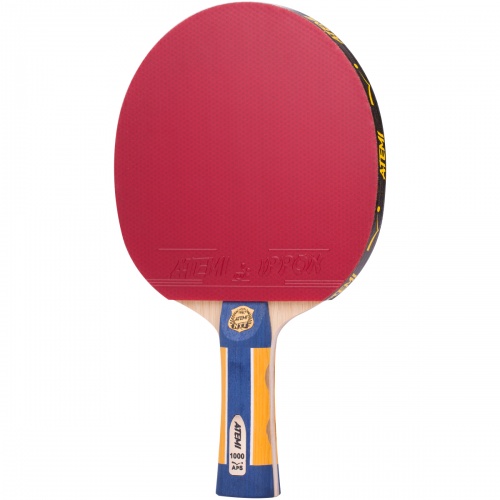 ������� Atemi 1000 ���� 4